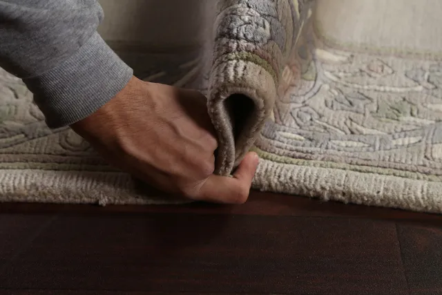 https://image-static-obj.rugsource.com/small/85381_1690425_d6014cd6.jpeg