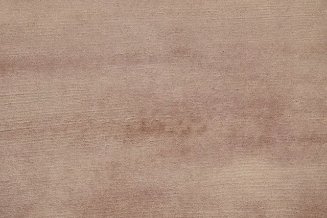 https://image-static-obj.rugsource.com/small/85431_1693254_84244fa1.jpeg