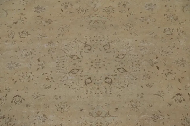 https://image-static-obj.rugsource.com/small/87001_1723751_1989079f.jpeg