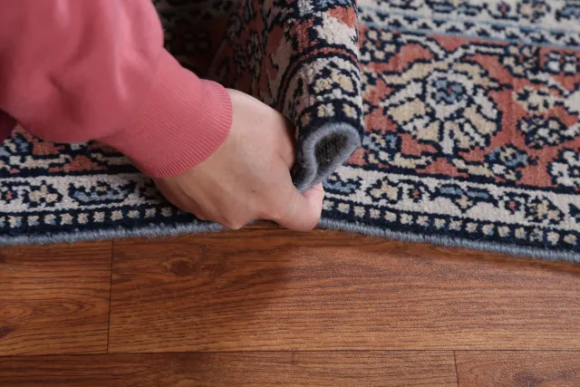 https://image-static-obj.rugsource.com/small/87402_1733424_a8ad143e.jpeg