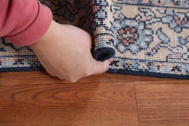 https://image-static-obj.rugsource.com/small/87545_1733275_a9609127.jpeg