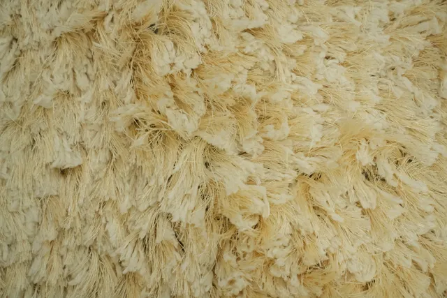 https://image-static-obj.rugsource.com/small/88919_3212010_39499657.jpeg