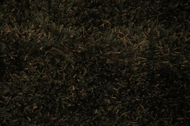 https://image-static-obj.rugsource.com/small/88988_3339191_dabd2689.jpeg