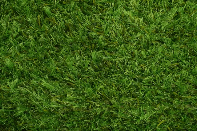 https://image-static-obj.rugsource.com/small/891_2975637_545dceb2.jpeg