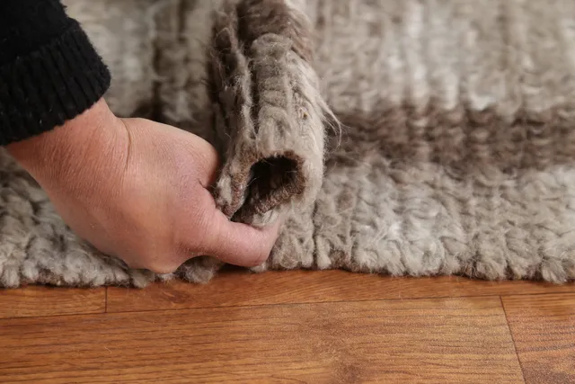 https://image-static-obj.rugsource.com/small/90597_1800462_47b9dc20.jpeg
