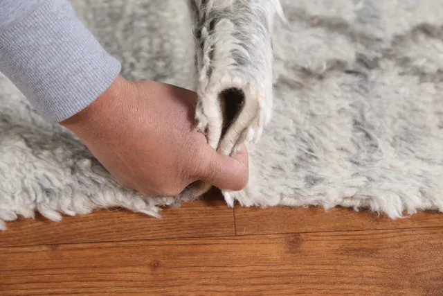 https://image-static-obj.rugsource.com/small/90621_1801401_5c7d179d.jpeg