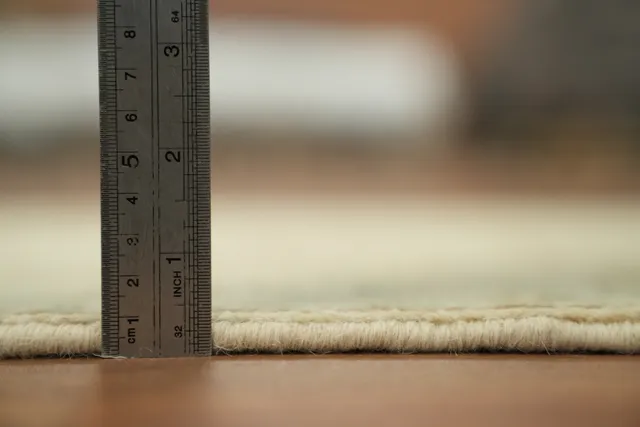 https://image-static-obj.rugsource.com/small/92806_3255878_4bda79b8.jpeg