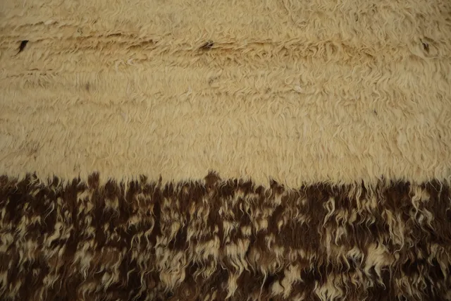 https://image-static-obj.rugsource.com/small/93572_3171590_6e50d6cd.jpeg