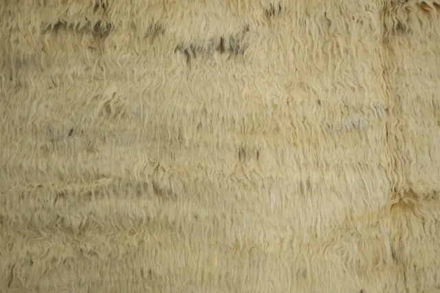 https://image-static-obj.rugsource.com/small/94236_3268183_67aac7d3.jpeg