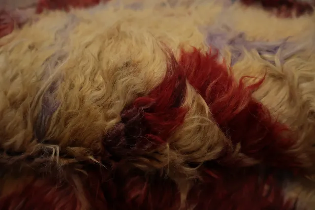 https://image-static-obj.rugsource.com/small/94412_3169470_08fcfb34.jpeg