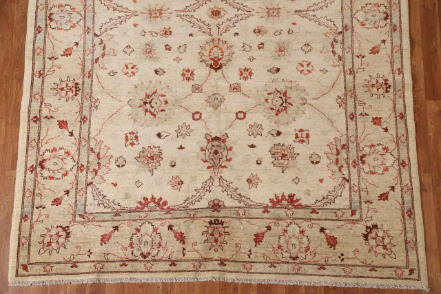 https://image-static-obj.rugsource.com/small/95014_1897731_f2dc8b66.jpeg