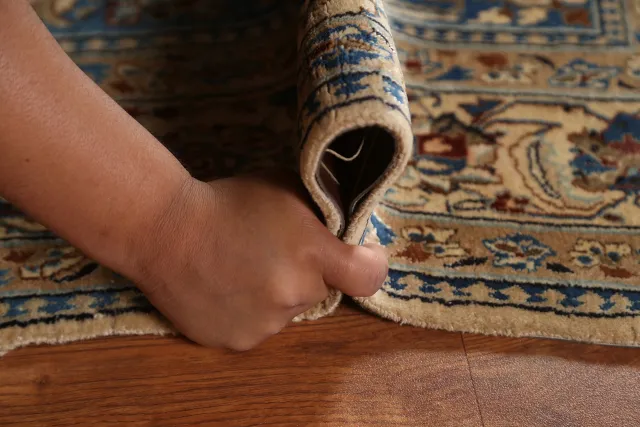 https://image-static-obj.rugsource.com/small/95443_1909529_0d79094e.jpeg