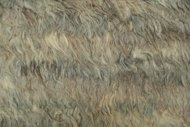 https://image-static-obj.rugsource.com/small/95504_3308941_37393b76.jpeg