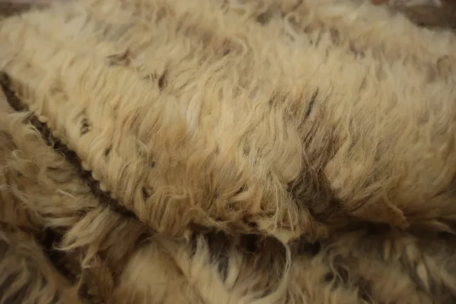 https://image-static-obj.rugsource.com/small/95507_3174101_e13a0bf9.jpeg