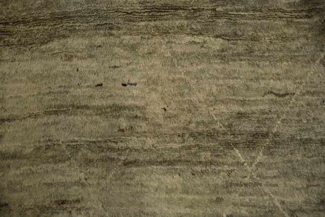 https://image-static-obj.rugsource.com/small/95671_3178397_29c3665a.jpeg