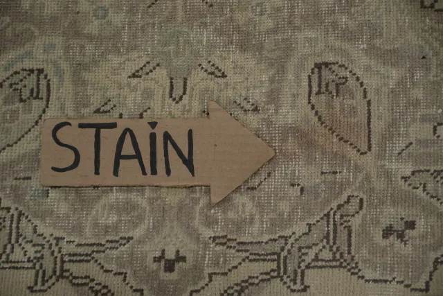 https://image-static-obj.rugsource.com/small/97561_3142747_07792cbe.jpeg