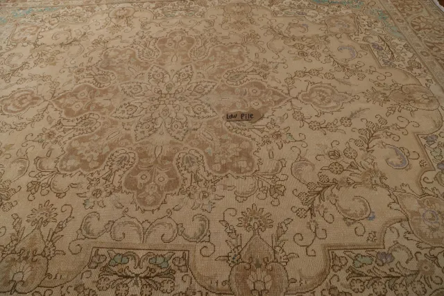 https://image-static-obj.rugsource.com/small/97901_1961301_383b8c9a.jpeg