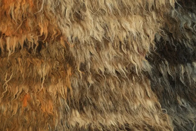 https://image-static-obj.rugsource.com/small/97942_3298861_cd5d2572.jpeg
