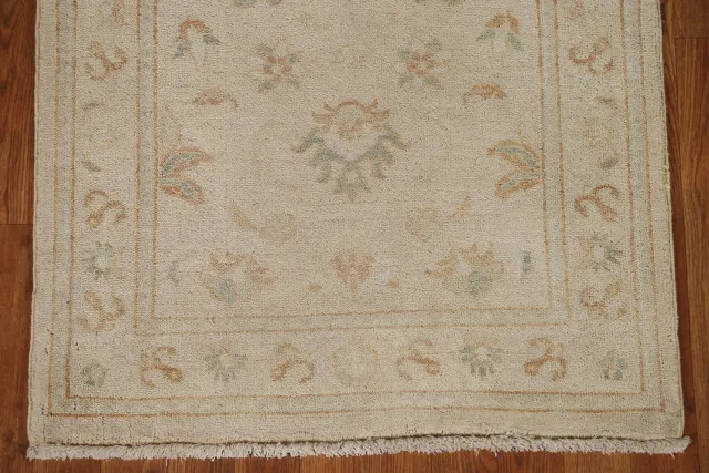 https://image-static-obj.rugsource.com/small/98238_1967283_19c43194.jpeg
