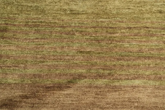 https://image-static-obj.rugsource.com/small/99413_3444171_47eb7808.jpeg